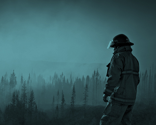 Firefighter Forest Blue 1920X800